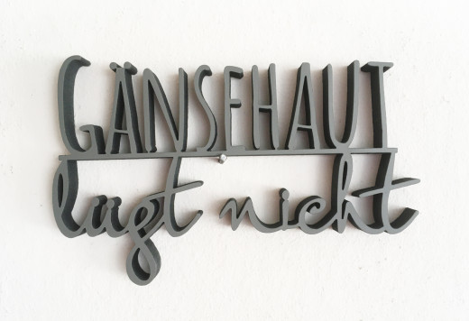 GÄNSEHAUT LÜGT NICHT Mausgrau