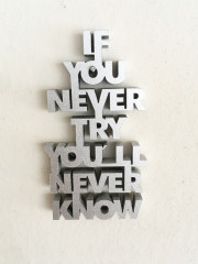 IF YOU NEVER TRY... Silber