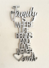 FAMILY IS WHERE LIFE...Silber